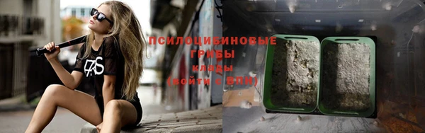 ешки Алзамай