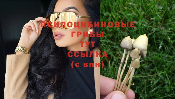 сатива Абаза