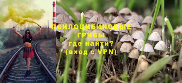 ешки Алзамай