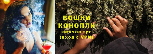 сатива Абаза