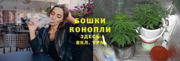 сатива Абаза