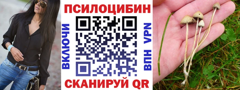 где продают наркотики Батайск Галлюциногенные грибы Psilocybe